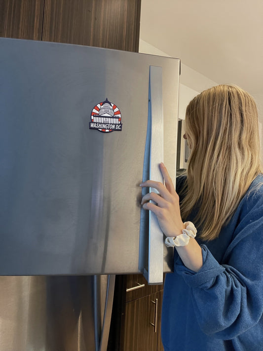 Washington DC PVC Fridge Magnet