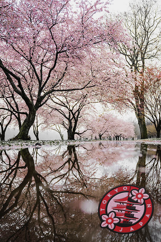 Tokyo Japan Sticker